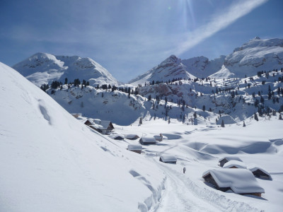 Organizing Committee Al Plan Events