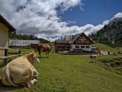 Organizing Committee Al Plan Events